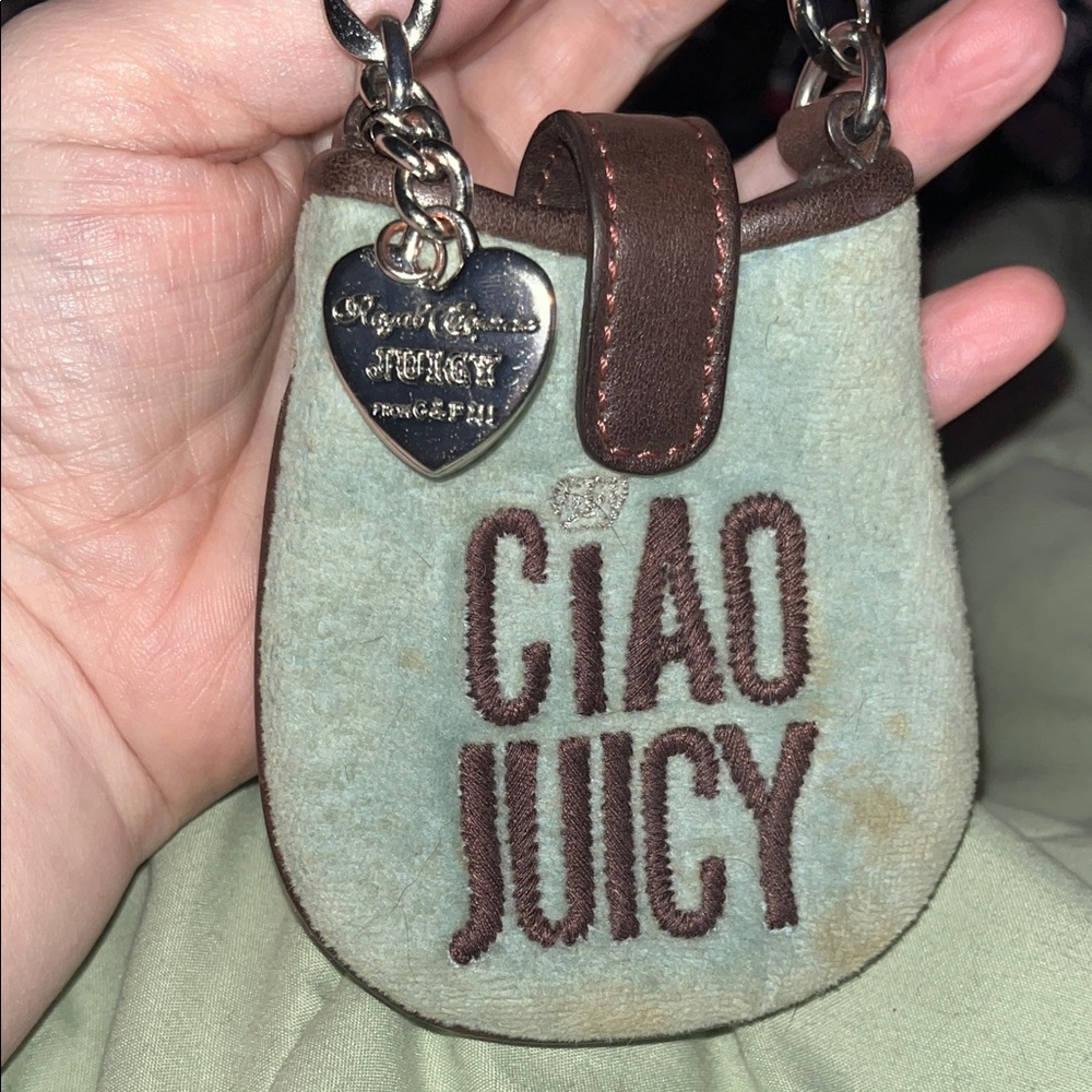 Juicy Couture Vintage Mint and Chocolate Mini Bag - Picture 4 of 9